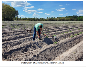 Photo and caption courtesy of St. Johns River Water Management District Installation of soil moisture sensor in Elkton.