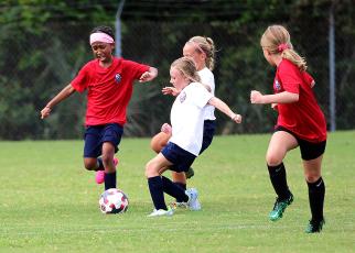 Children play on Ybor Alvarez soccer fields. The city of Fernandina Beach wants to secure a lease to retain the fields for use Amelia Island Youth Soccer. Photo by Beth Jones/News-Leader