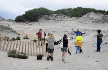 Volunteers and members from Conserve Nassau meet at Little Nana Dune to encourage its healing from a blowout by planting native plants. Photo courtesy of Conserve Nassau