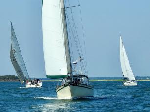Sixth race of season for sailing club. Submitted photo