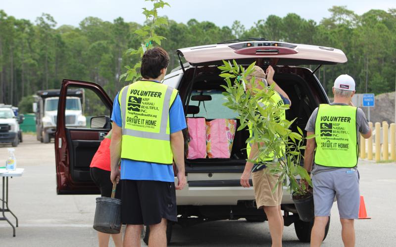 Volunteers with Keep Nassau Beautiful load trees into the trunk of a Nassau County resident’s car to go to a new home. Photo by Holly Dorman/News-Leader.