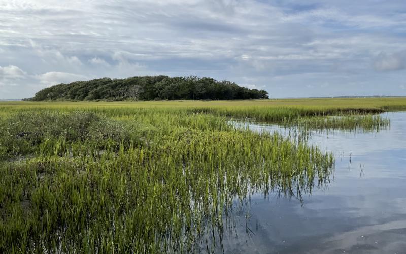 North Florida Land Trust has helped to protect Little Tiger Island in Nassau County