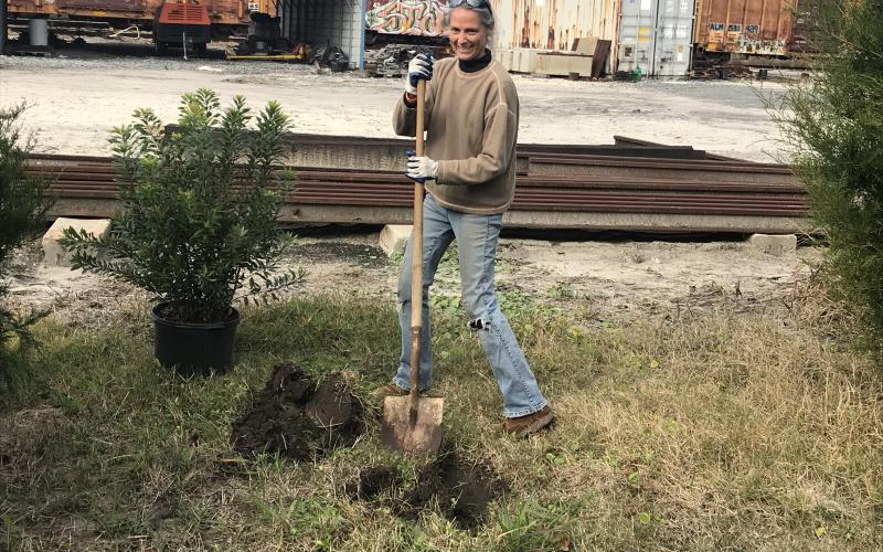 The city of Fernandina Beach has received its 21st year of national recognition as a Tree City USA community by the Arbor Day Foundation.
