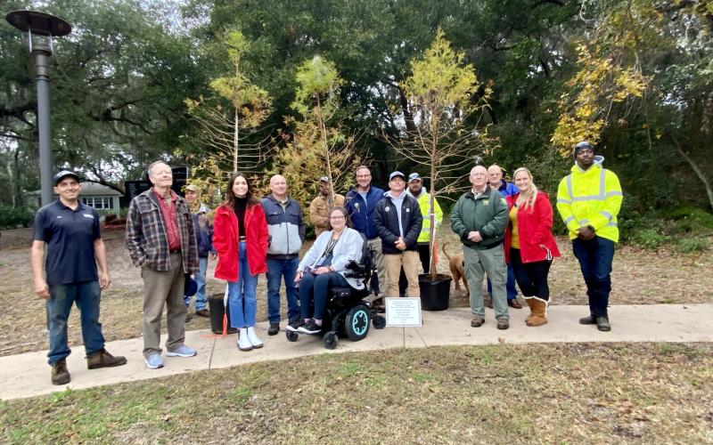 The city of Fernandina Beach has received its 21st year of national recognition as a Tree City USA community by the Arbor Day Foundation.