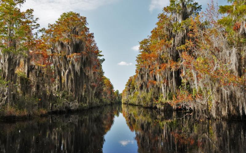 The Okefenokee Wildlife Refuge is home to hundreds of species of animals, some endangered and threatened, and is a culturally significant site for the Muscogee Creek Nation. Archeologists estimate Native Americans have been in the area for thousands of years.  Submitted photo