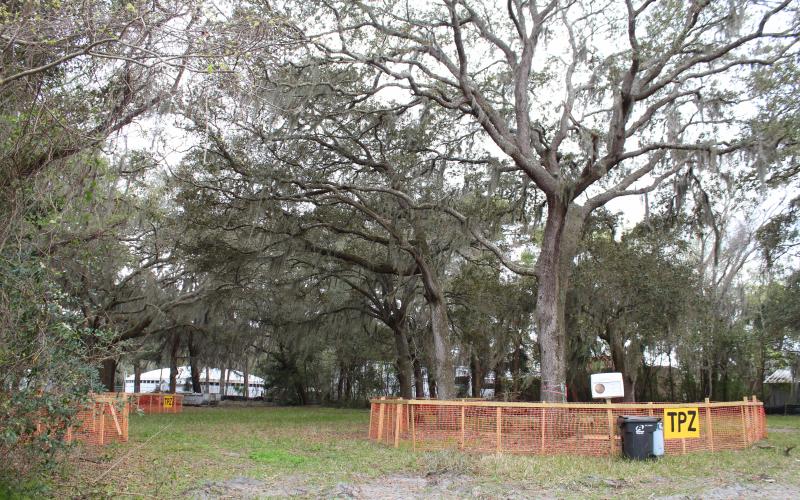 This property is the proposed site of Breakers RV Park at the corner of Ryan and Sadler roads. Residents of the neighborhood are fighting the development, saying the road is not wide enough to accommodate large vehicles, which will inevitably drive into the Pirates Bay subdivision. Photo by Julia Roberts