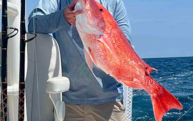Local fisherman holds a recently caught red snapper. Submitted photo
