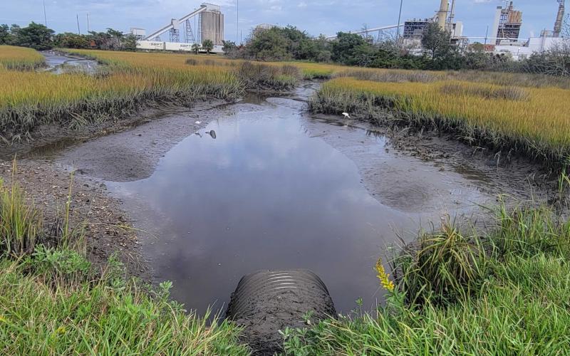 The culverts under Escambia Street that connect Escambia Slough to Alligator Creek are not large enough to handle the flow of water. The city of Fernandina Beach is considering abandoning the street and allowing the area to go back to its natural state. Photo by Julia Roberts/News-Leader