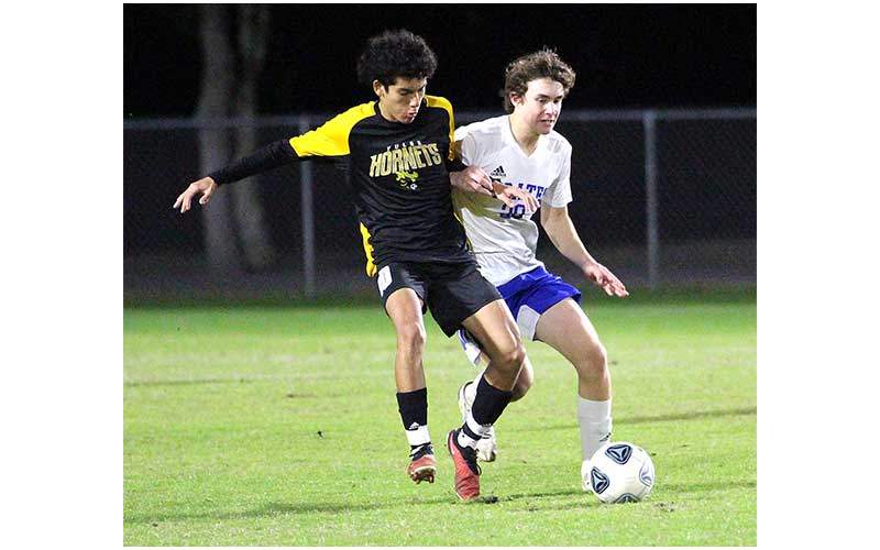 Hornets edge Pirates in district semifinal match. Photos by Beth Jones/News-Leader