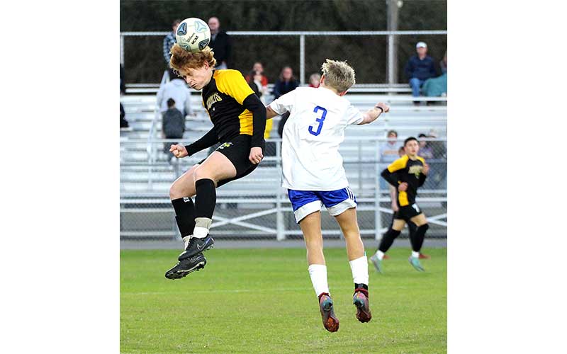 Hornets edge Pirates in district semifinal match. Photos by Beth Jones/News-Leader