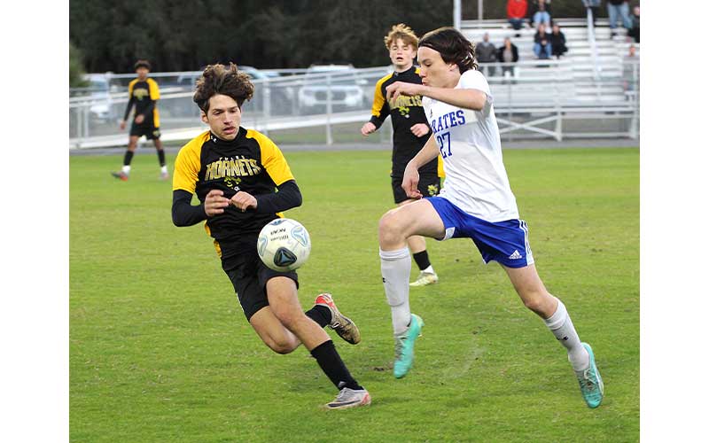 Hornets edge Pirates in district semifinal match. Photos by Beth Jones/News-Leader