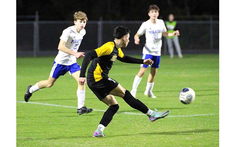 Hornets edge Pirates in district semifinal match. Photos by Beth Jones/News-Leader