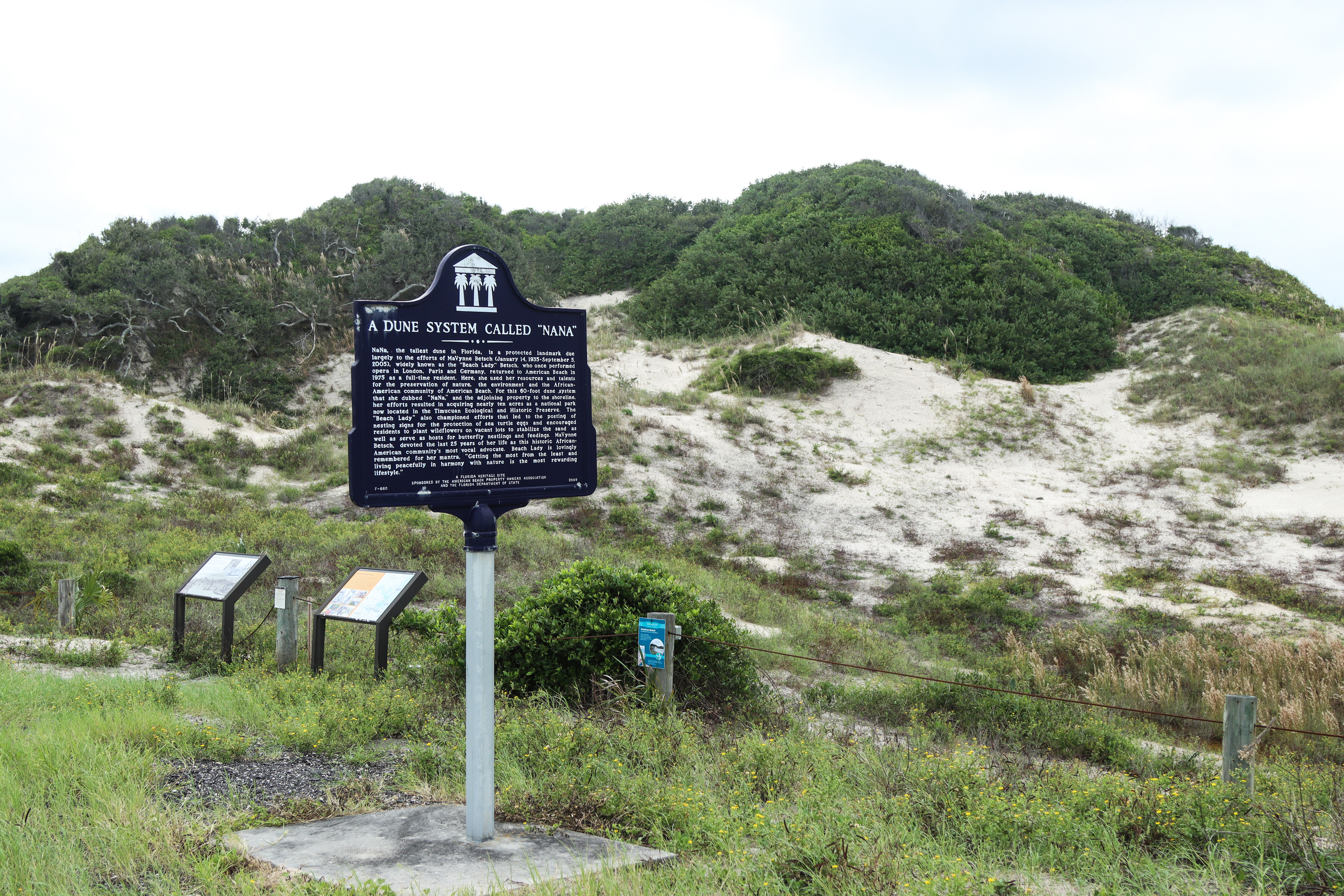 NaNa Dune in the Historic American Beach District is the tallest dune in Florida. Photo by Ashley Chandler