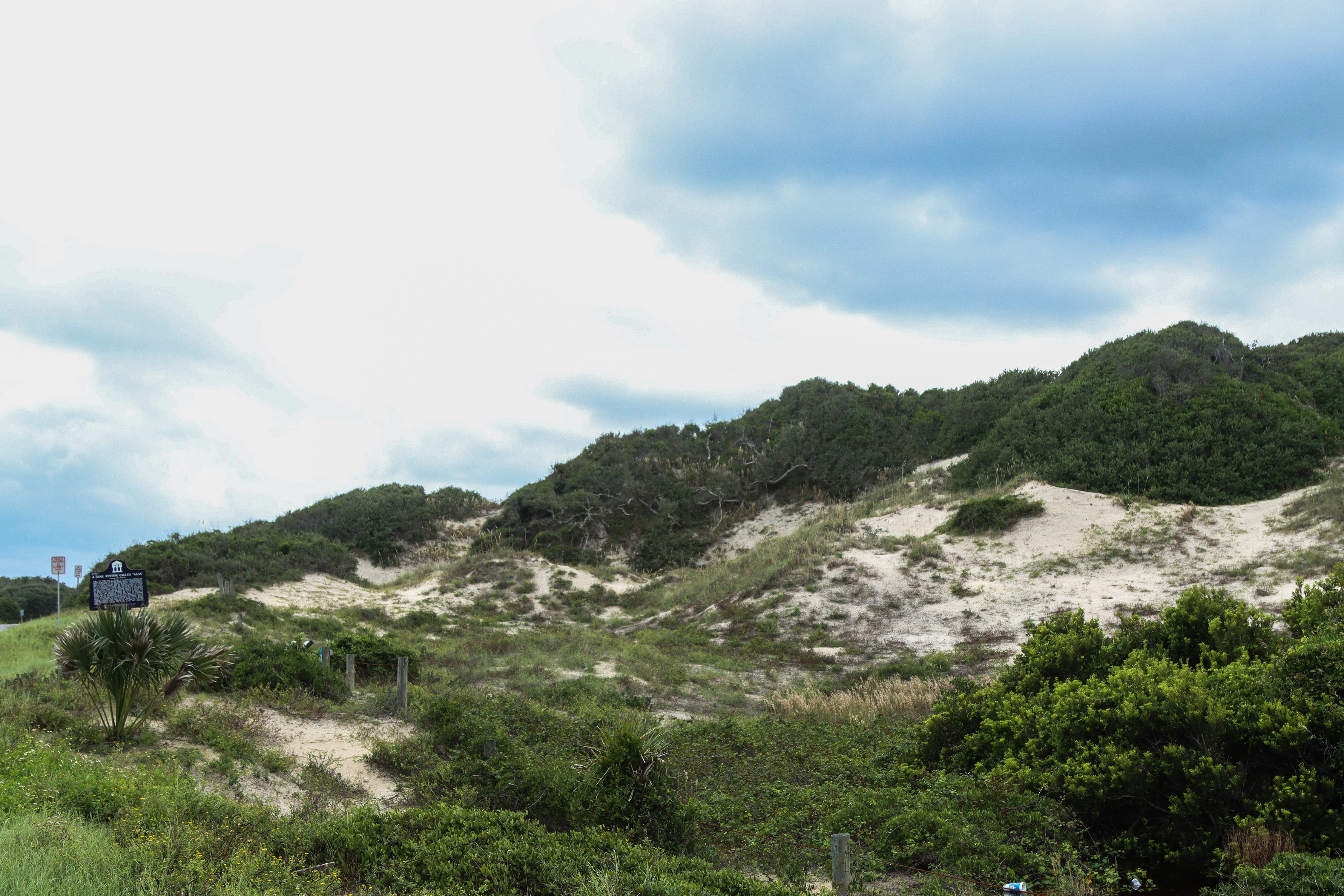 NaNa Dune in the Historic American Beach District is the tallest dune in Florida. Photo by Ashley Chandler