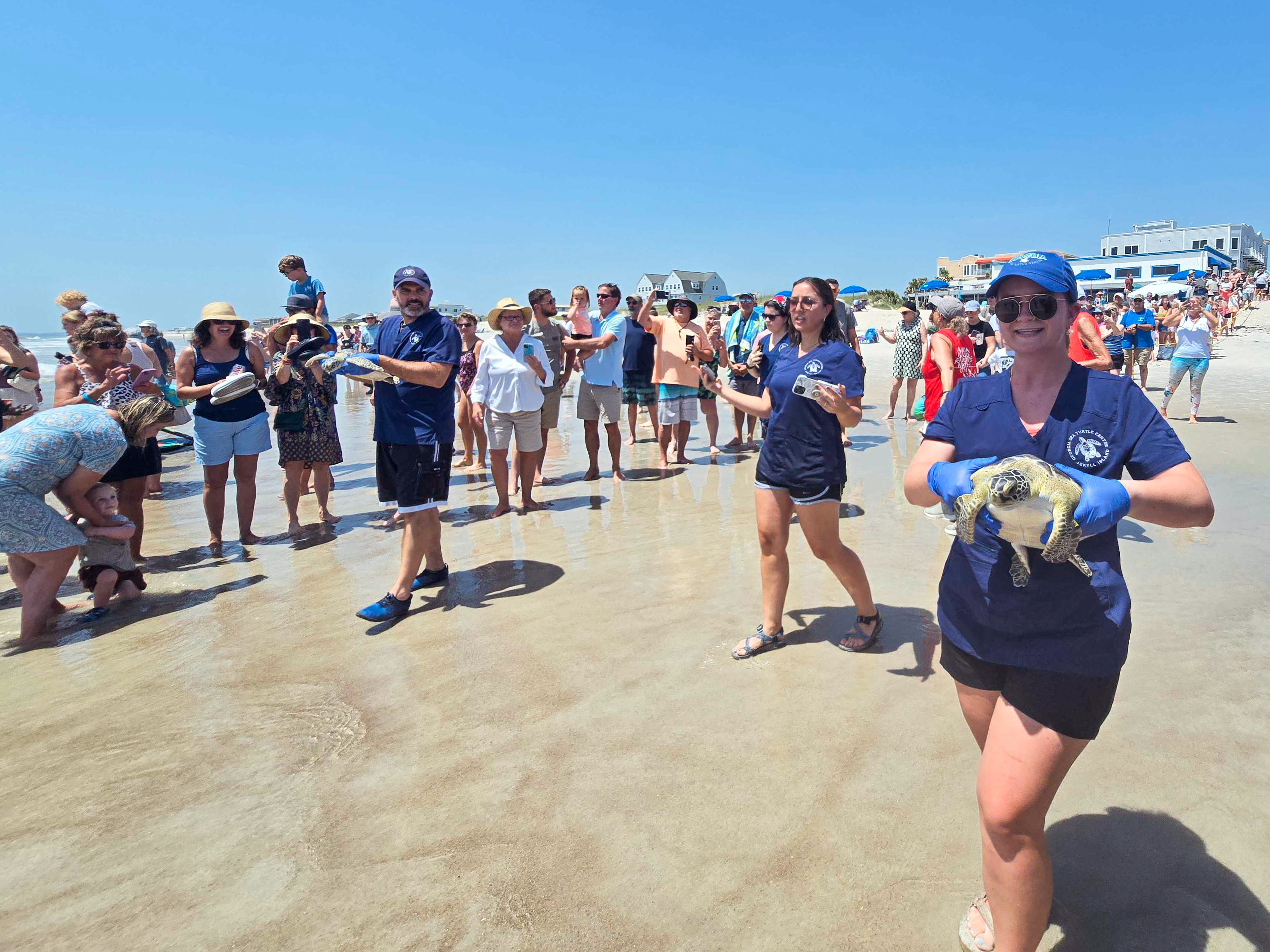 In conjunction with the Wild Amelia Nature Festival, The Georgia Sea Turtle Center worked with the Amelia Island Sea Turtle Watch and Keep Nassau Beautiful on Thursday to bring locals an extra special sea turtle release. Four rehabilitated green sea turtles, Coriander, Turmeric, Anise and Spearmint, were released into the Atlantic Ocean. Photo by Ashley Chandler/News-Leader