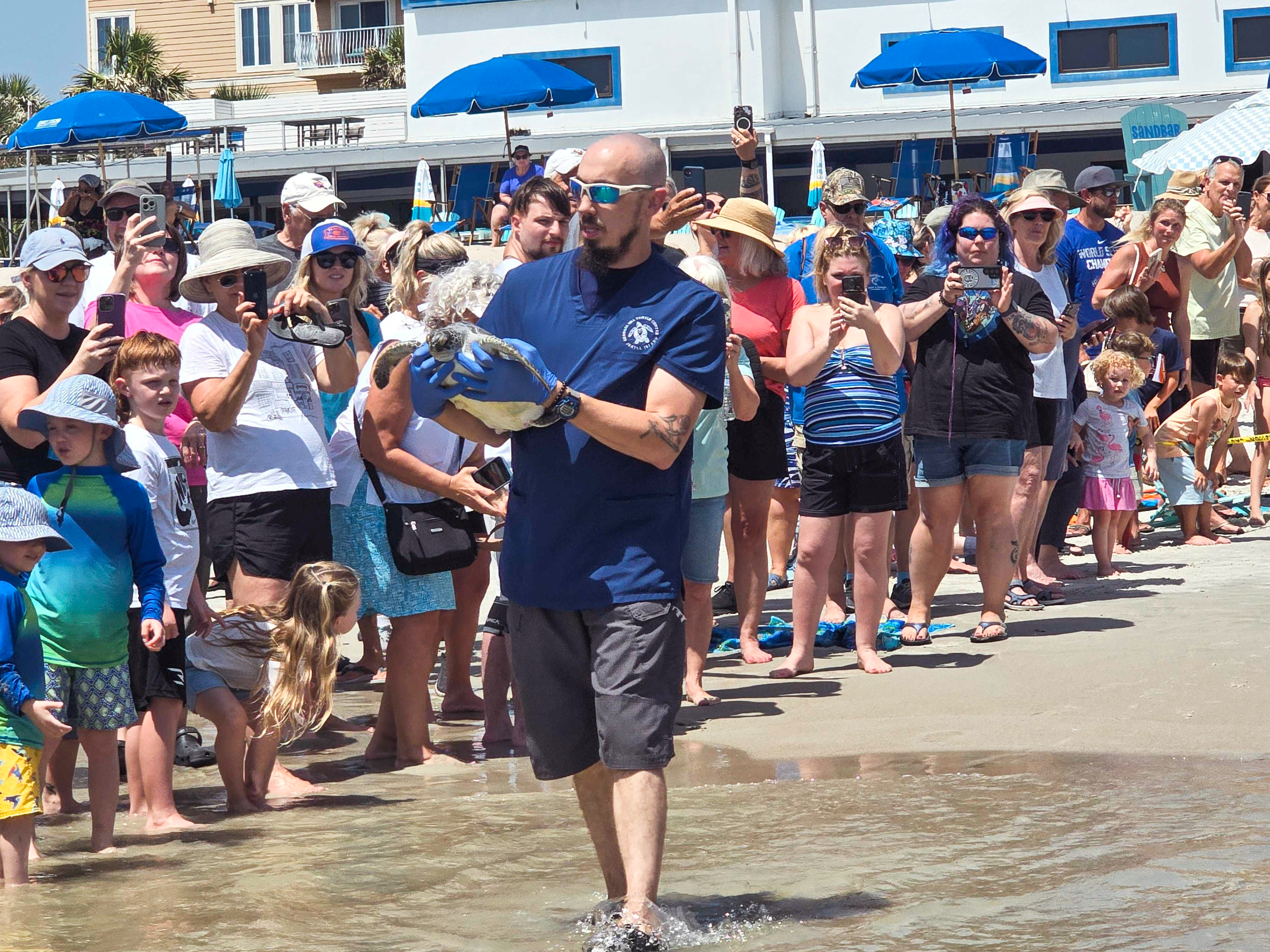 In conjunction with the Wild Amelia Nature Festival, The Georgia Sea Turtle Center worked with the Amelia Island Sea Turtle Watch and Keep Nassau Beautiful on Thursday to bring locals an extra special sea turtle release. Four rehabilitated green sea turtles, Coriander, Turmeric, Anise and Spearmint, were released into the Atlantic Ocean. Photo by Ashley Chandler/News-Leader