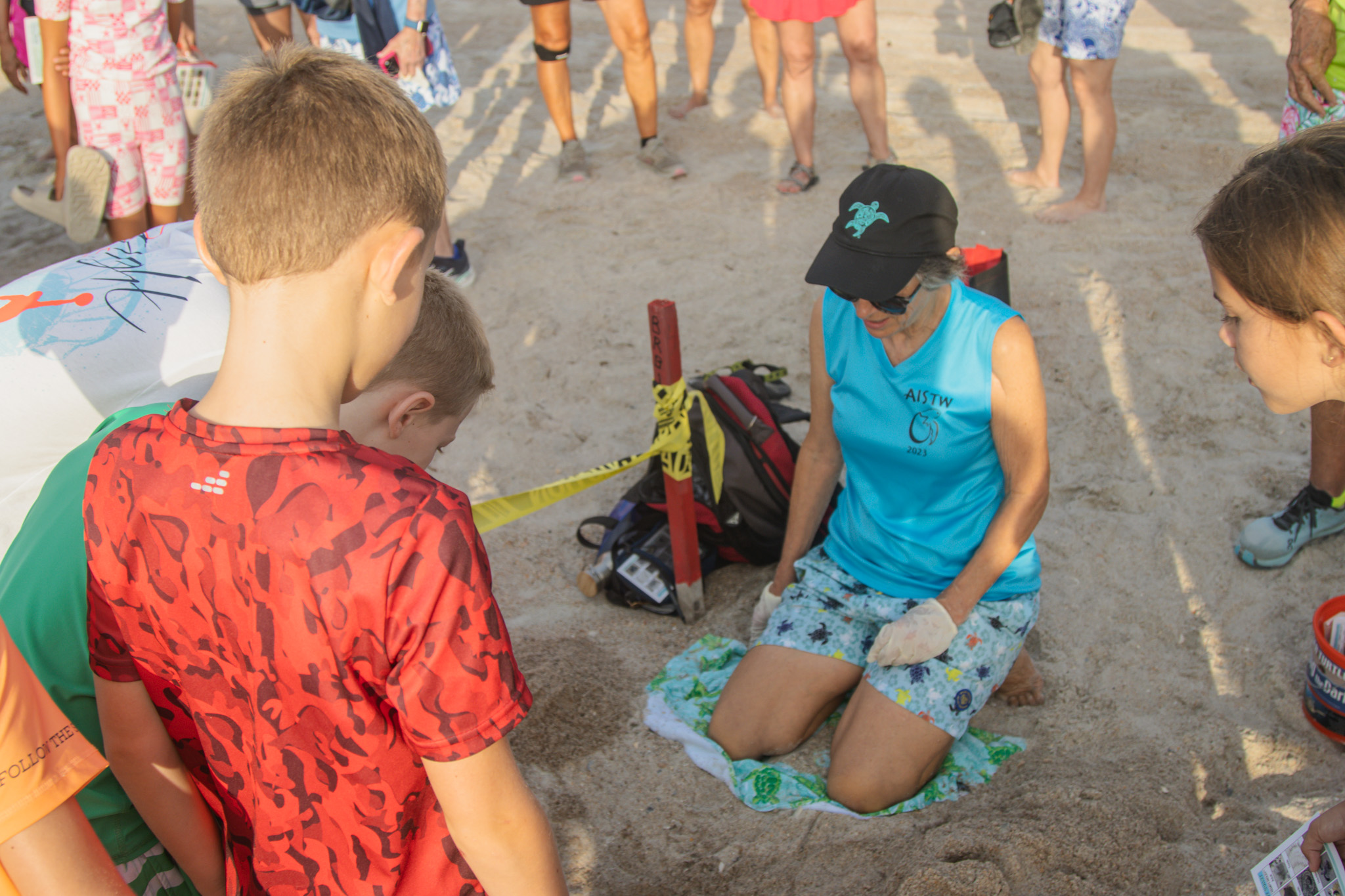 Ronda Bokram excavates a nest Friday. Photo by Ashley Chandler/News-Leader