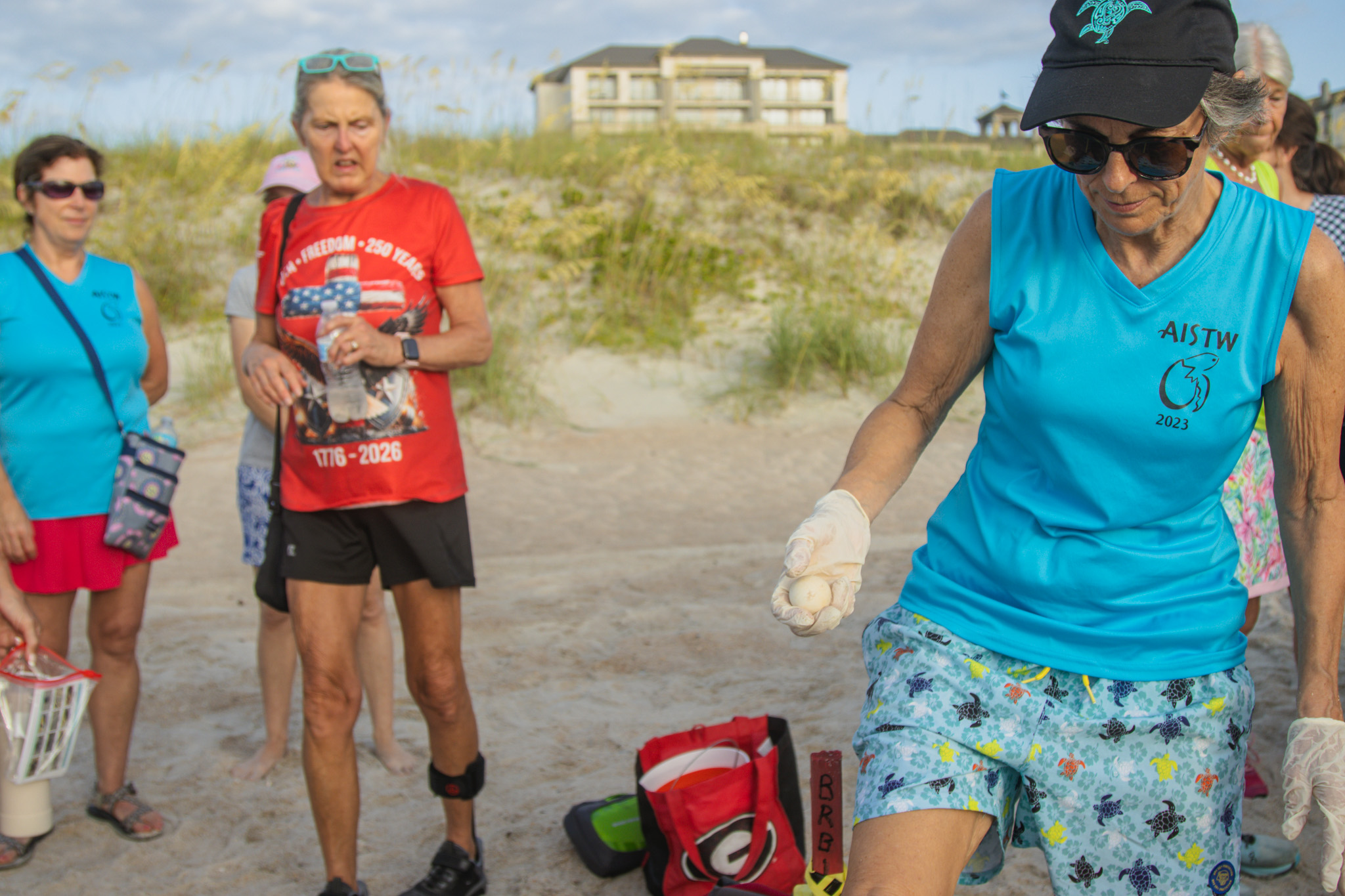 The Amelia Island Sea Turtle Watch began nest excavations last week. Photo by Ashley Chandler/News-Leader
