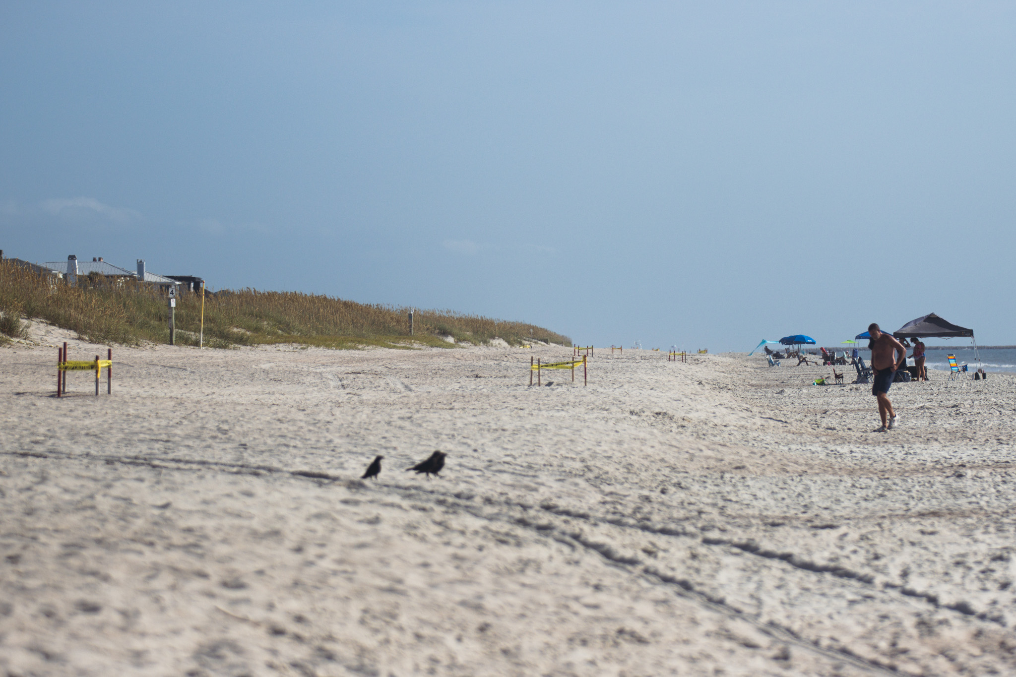 Sea turtle nests line the beach Thursday as beach-goers enjoy the morning. Photo by Ashley Chandler/News-Leader