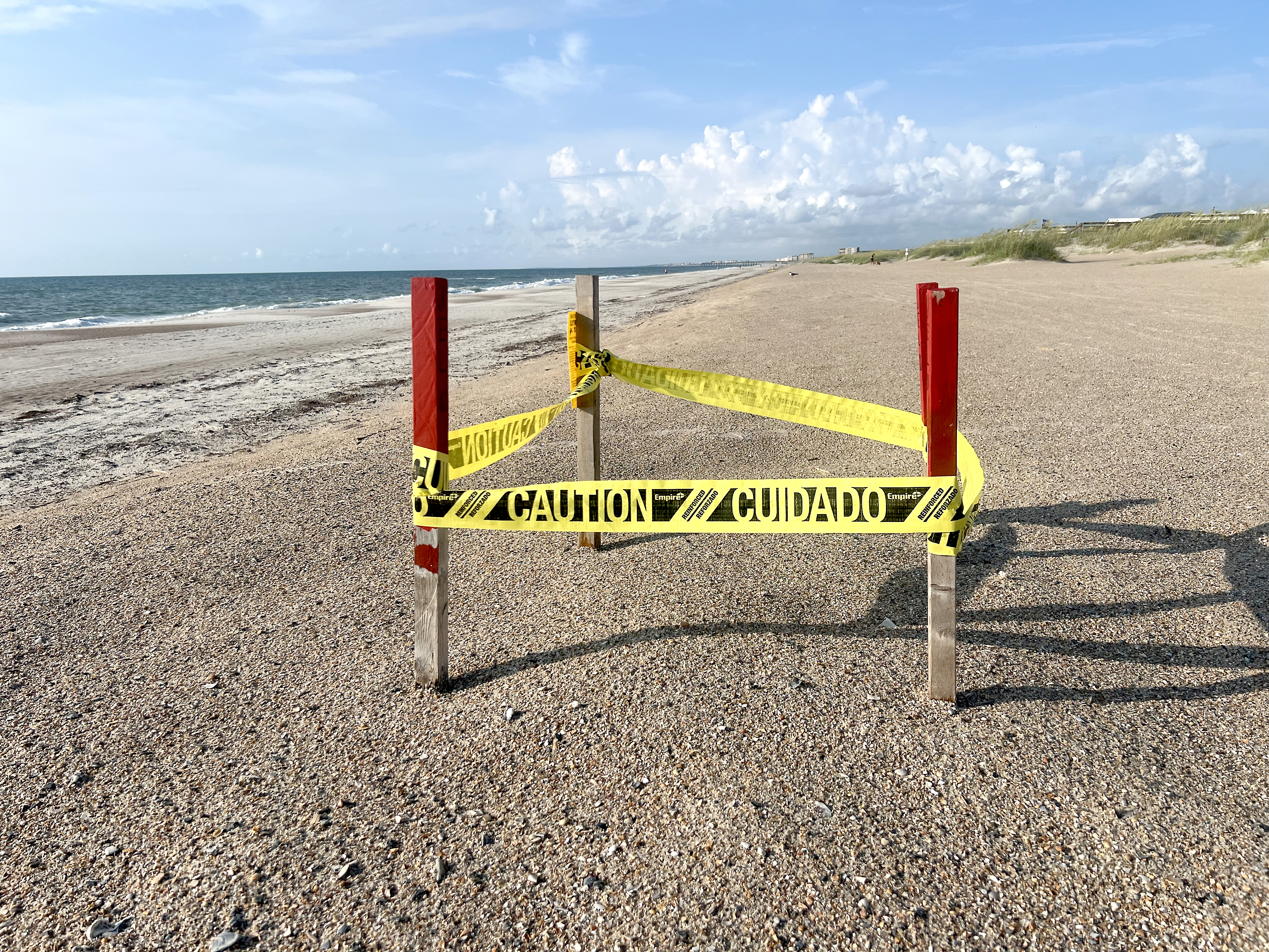 A sea turtle nest is marked on Fernandina Beach. 