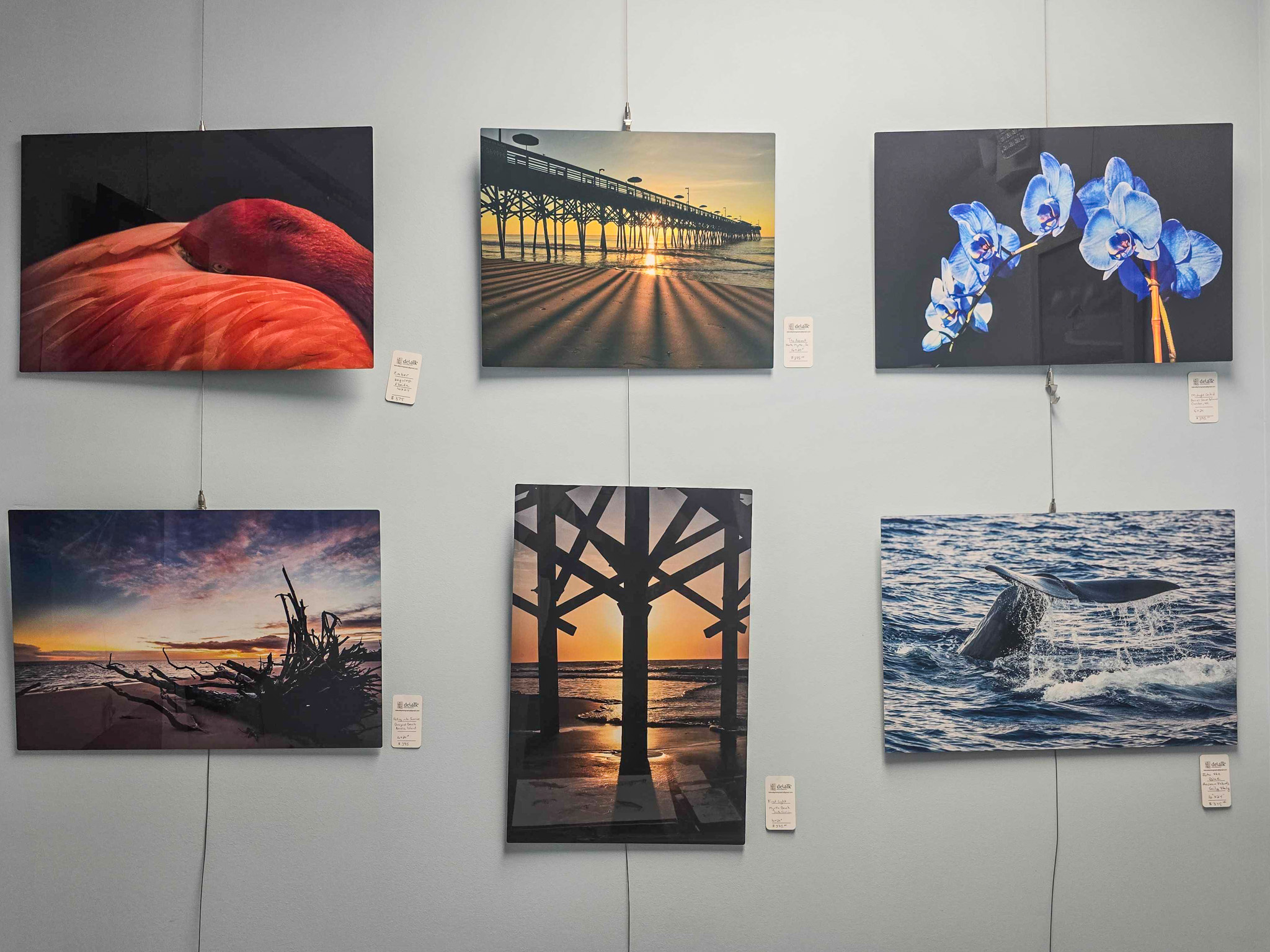 Photography by Kay DeValk hangs on the wall at Art Amelia. 