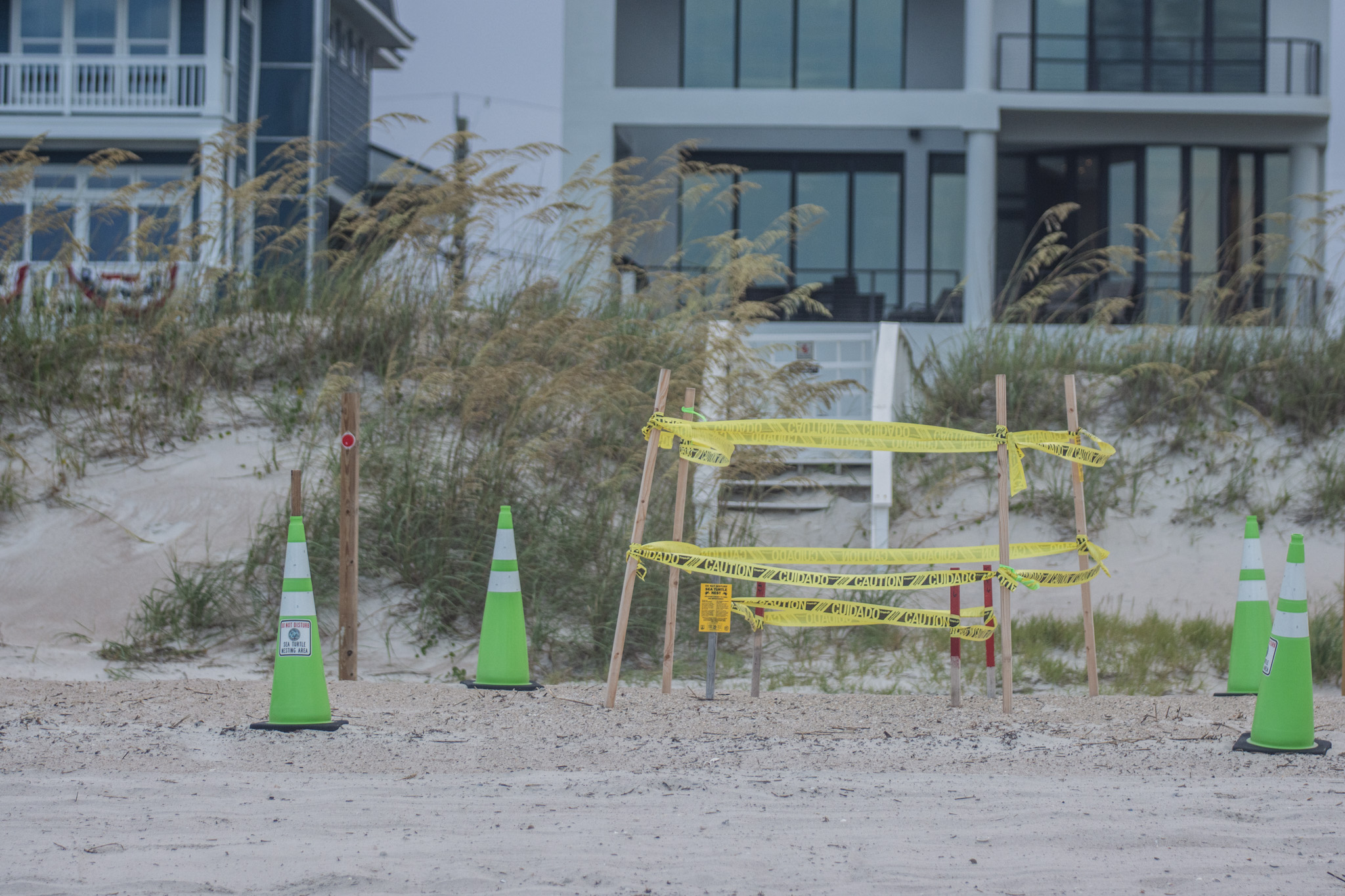 A sea turtle nest is double marked on a Nassau County beach where beach driving is allowed.