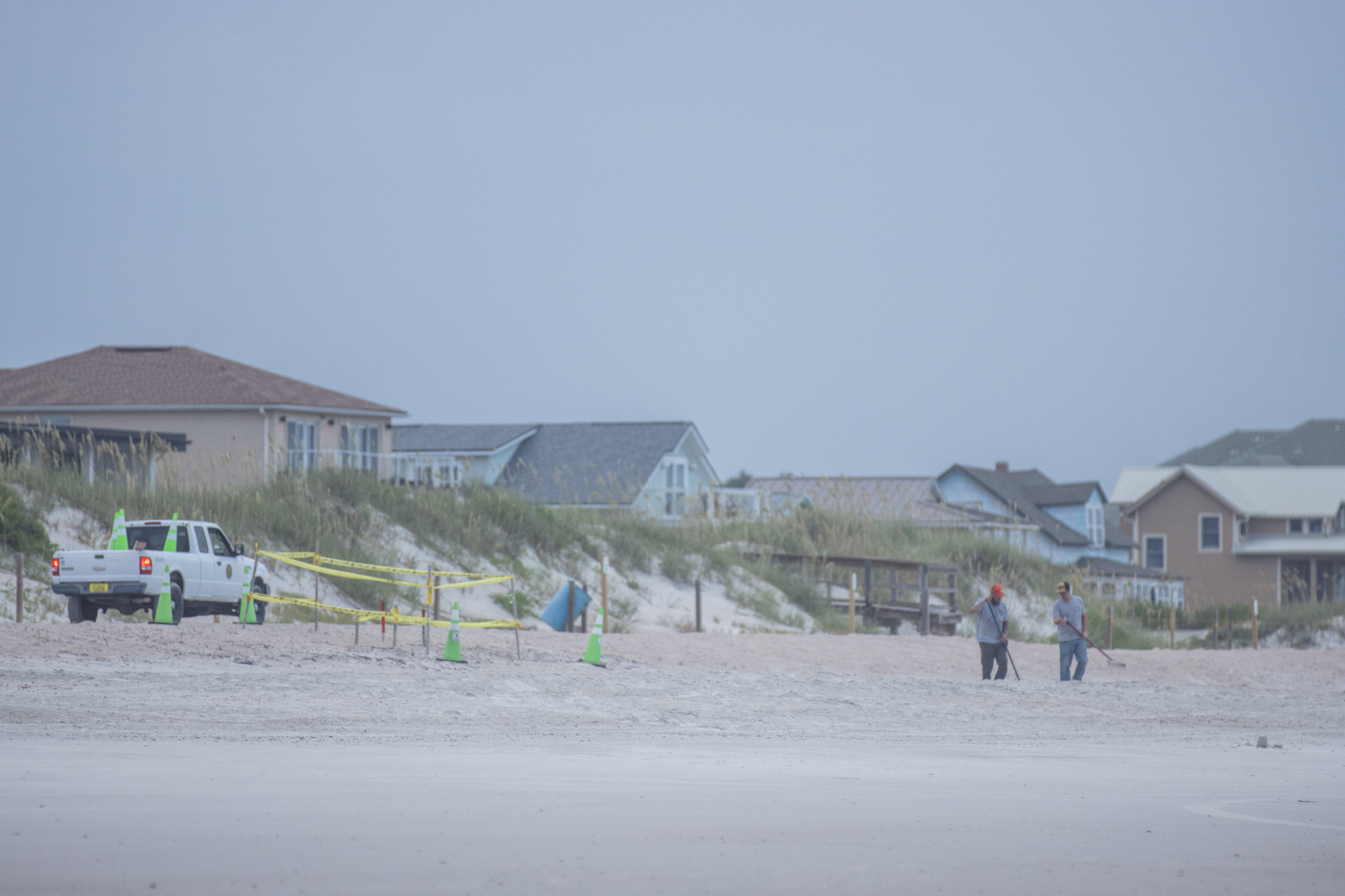 Nassau County staff rakes the sand between a sea turtle nest and the ocean on July 22 on American Beach. The county’s beach raking program was put in place in an effort to avoid the potential negative impacts of tire tracks on new sea turtle hatchlings. 