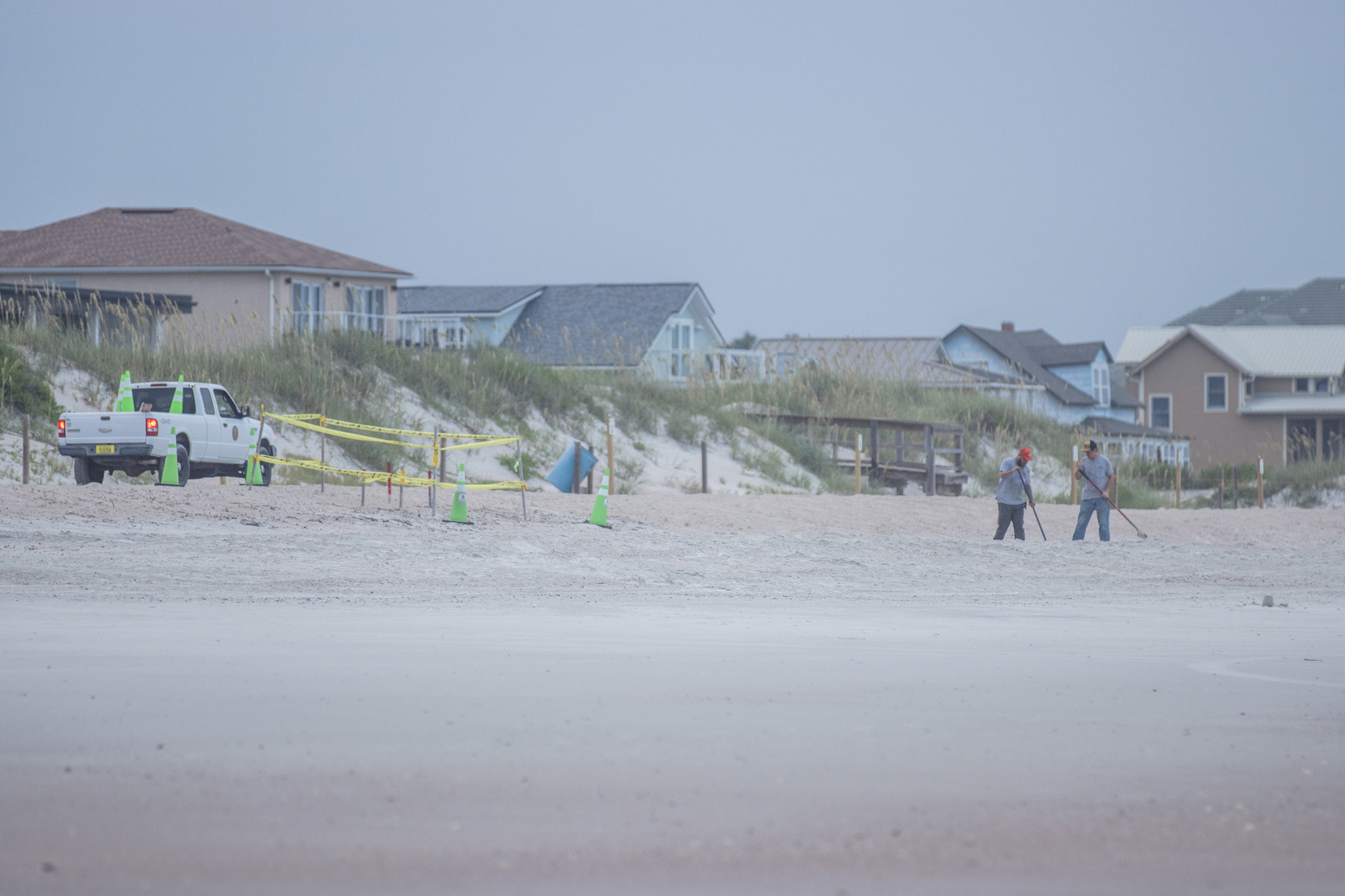 Nassau County staff rakes the sand between a sea turtle nest and the ocean on July 22 on American Beach. The county’s beach raking program was put in place in an effort to avoid the potential negative impacts of tire tracks on new sea turtle hatchlings. 