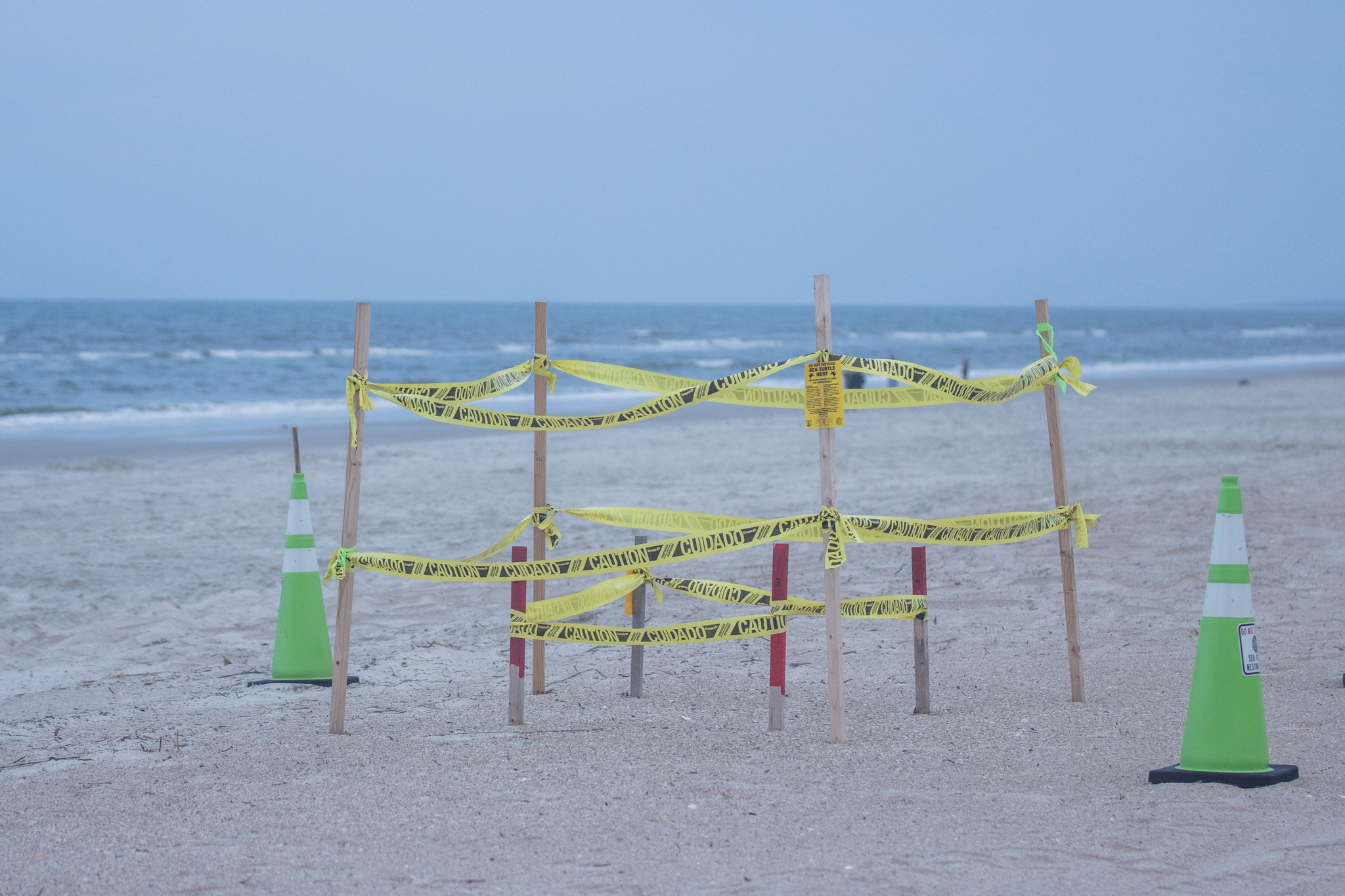 A sea turtle nest is double marked on a Nassau County beach where beach driving is allowed.