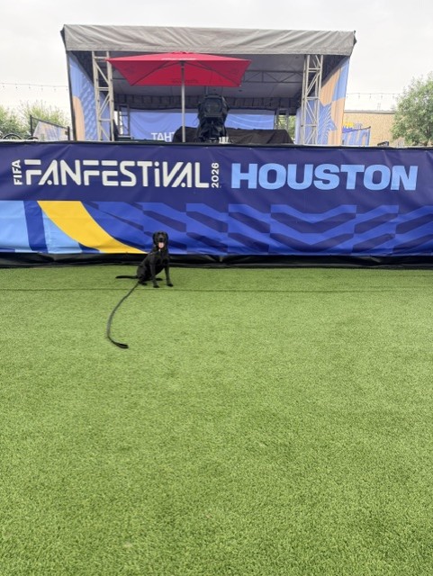 Lea and her K9 handler Victoria “Tori” Blandford, worked the 2026 FIFA World Cup in Houston.