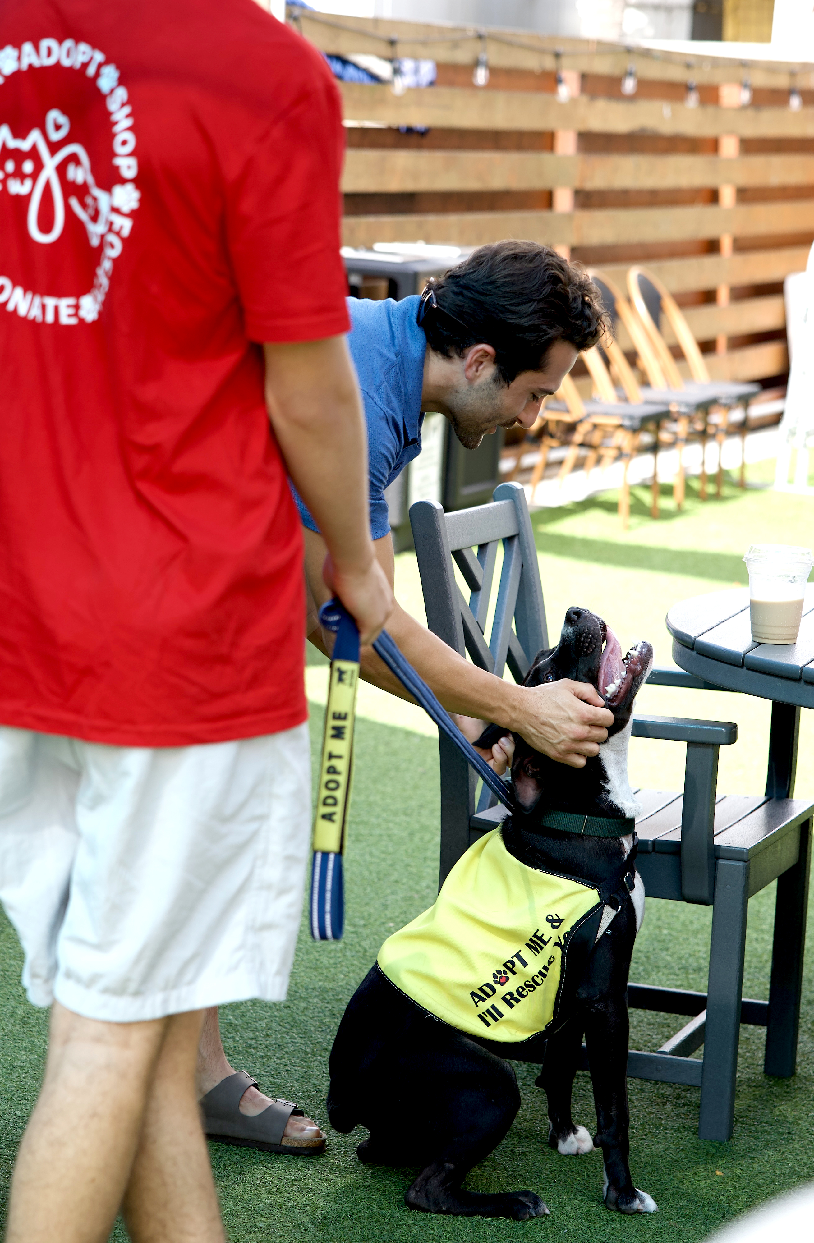 Free Biscuits recently hosted an adoption event, Puppy Palooza, on Centre Street. The organization said it wants to use data to determine what people need the most for their pets. Submitted photo
