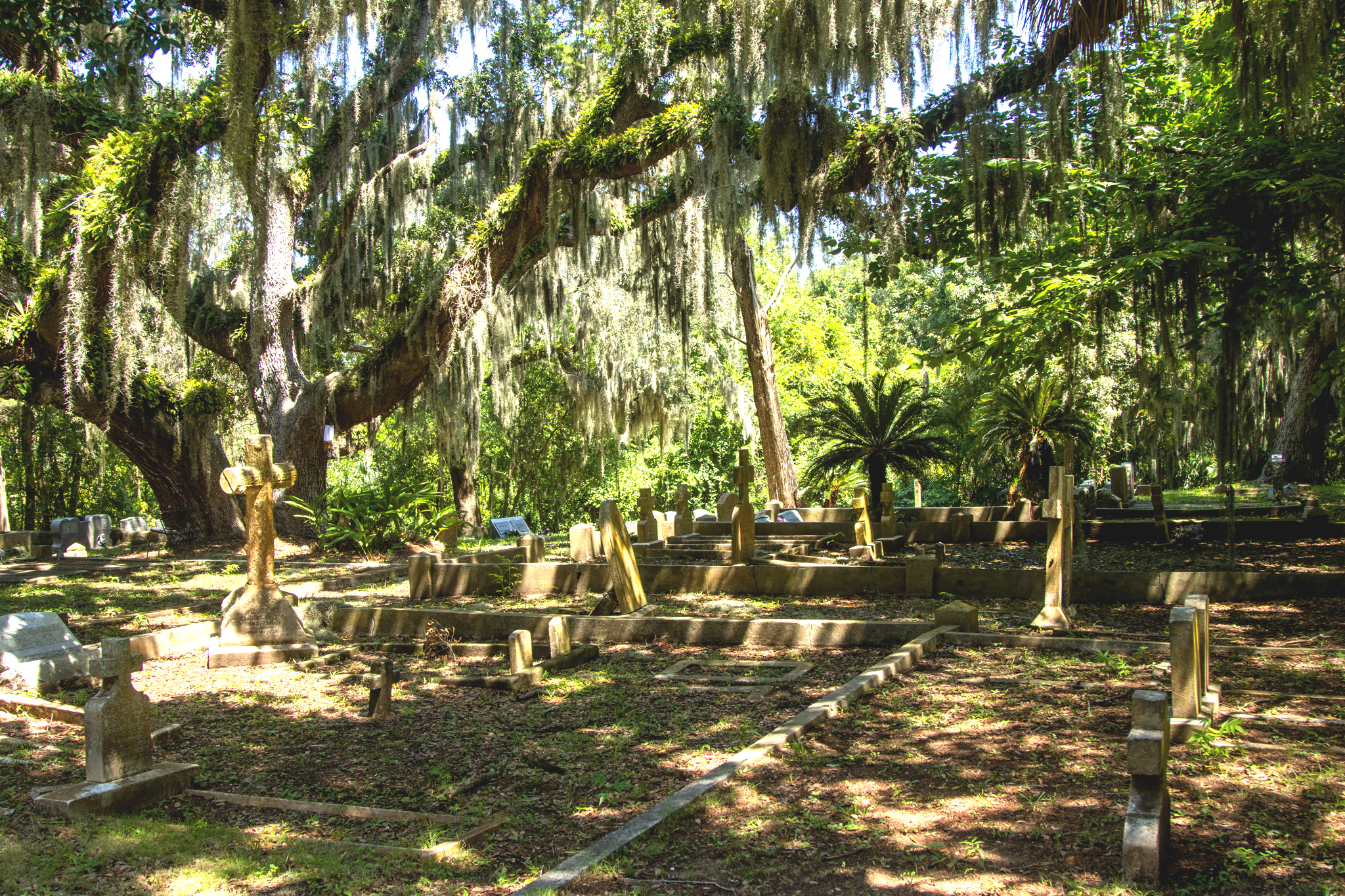 Some graves at Bosque Bello Cemetery mark the resting spot of locals who died in the 1800s. Photo by Ashley Chandler/News-Leader