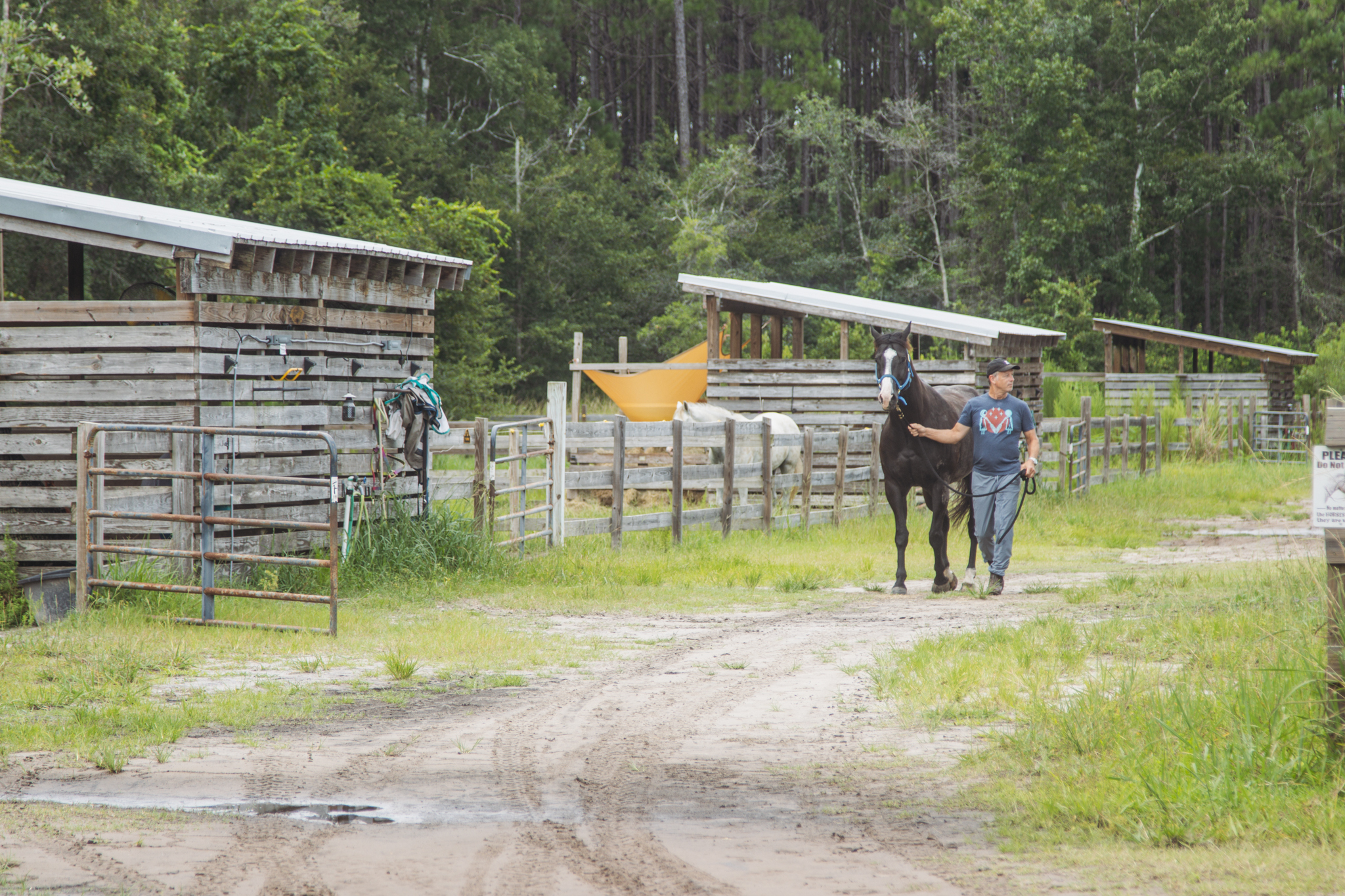 Paramount Adaptive Riding Center (ARC) in Yulee. Photo by Ashley Chandler/News-Leader