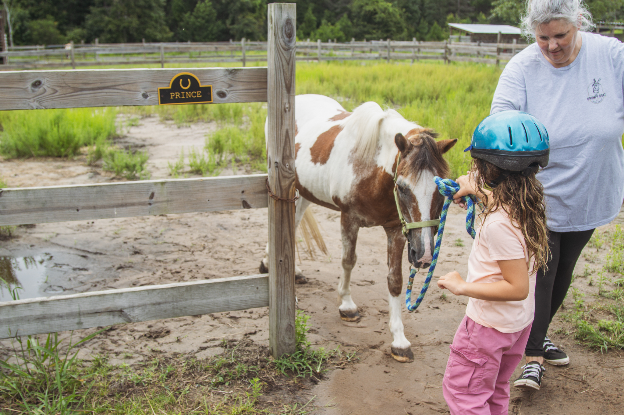 Aurelia Iacchetta and Paramount ARC volunteer Carol Wagner take Prince out of his paddock Monday. Photo by Ashley Chandler/News-Leader