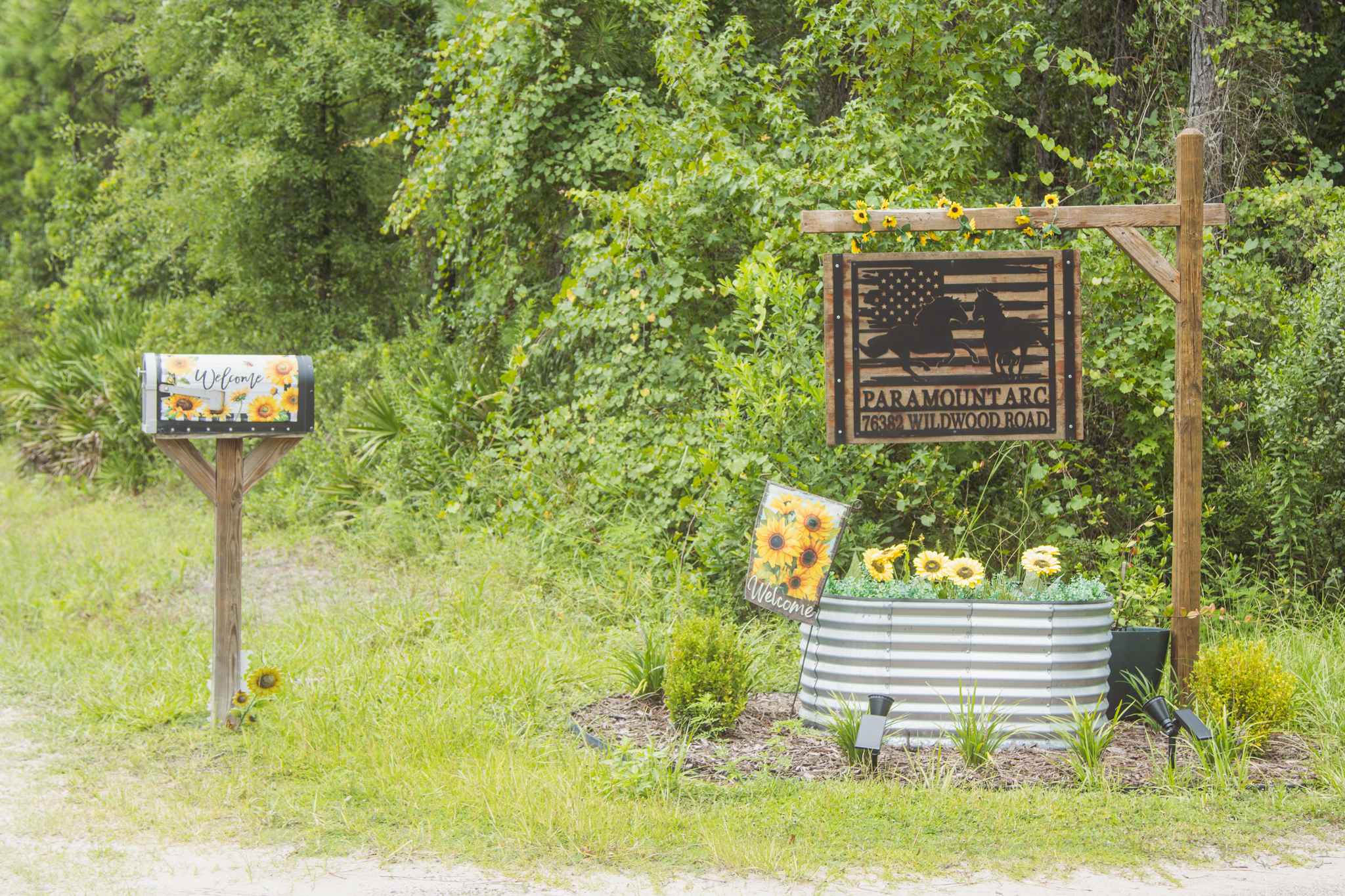 Paramount Adaptive Riding Center (ARC) in Yulee. Photo by Ashley Chandler/News-Leader