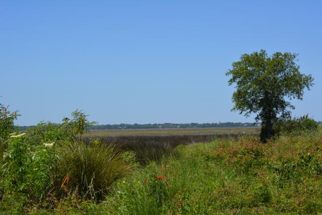 A 5.45-acre parcel at 1467 S. Fourth St. in Fernandina Beach could include town homes, according to preliminary plans shared by developers.