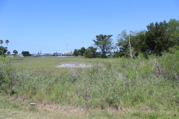 This property on the Amelia River waterfront is owned by Amelia Island Development Company, which says it has laid undeveloped due to undue encumbrances on using wetland property, including a prohibition on fill of any kind.