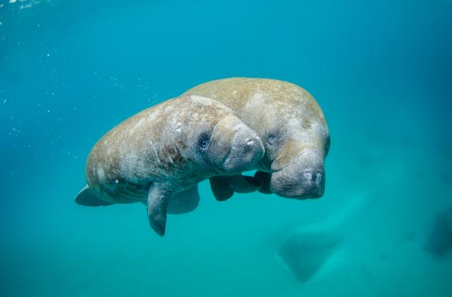 Photo by NOAA. Licensed under Unsplash.