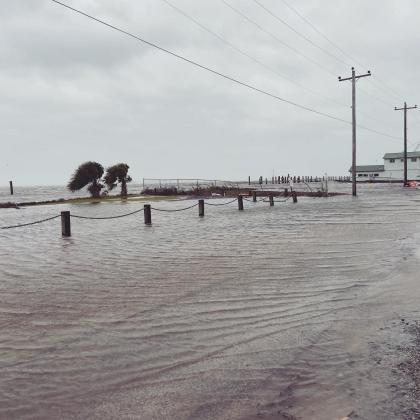 Photo courtesy of City of Fernandina Beach