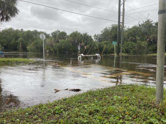 Photo courtesy of City of Fernandina Beach