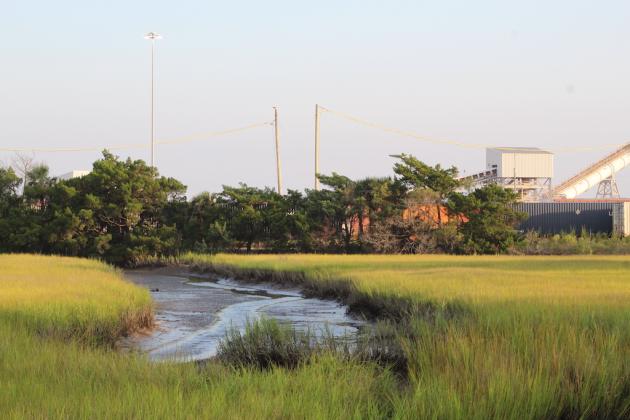 Alligator Creek has continued to test positive for Escherichia coli, prompting the city of Fernandina Beach to post signs around the area, discouraging contact with the water in the area. Holly Dorman/News-Leader