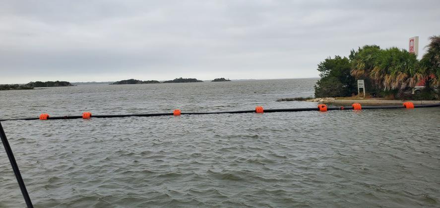 Hurricane Nicole  brought with it high tides, flooding, evacuations, local State of Emergencies and winds speeds over 50 mph.