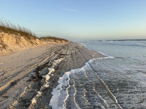 Beaches were deserted after city and county officials declared an emergency, closing the beach with a double red flag condition.
