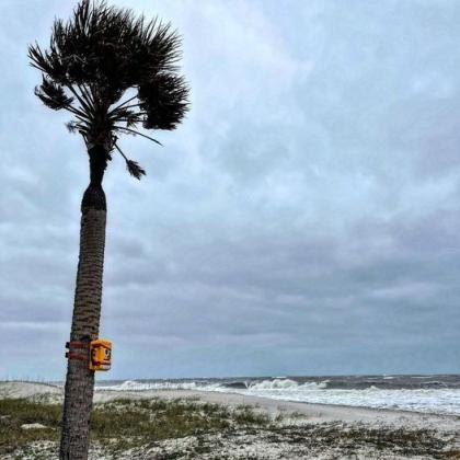 Hurricane Nicole  brought with it high tides, flooding, evacuations, local State of Emergencies and winds speeds over 50 mph.