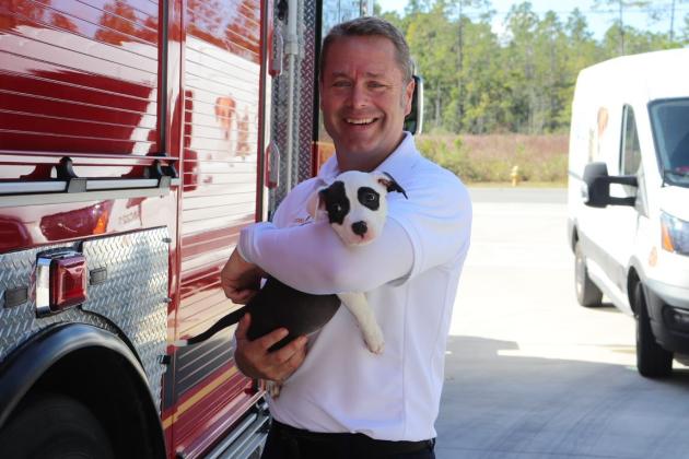 Puppies and kittens are getting out and about during visits to county departments, beginning with Fire and Emergency Operations. A pet was adopted on each trip.