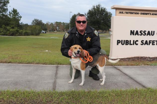 Puppies and kittens are getting out and about during visits to county departments, beginning with Fire and Emergency Operations. A pet was adopted on each trip.