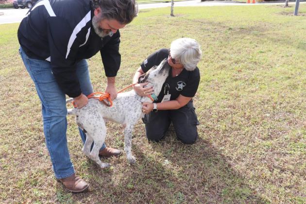 Puppies and kittens are getting out and about during visits to county departments, beginning with Fire and Emergency Operations. A pet was adopted on each trip.