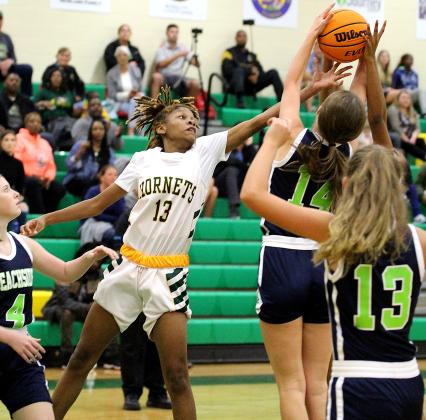 Season tip-off for Lady Hornets