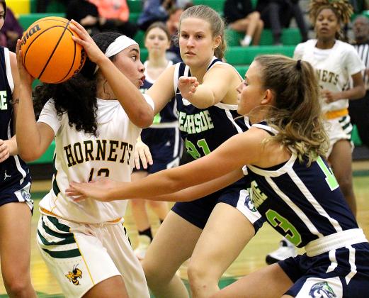 Season tip-off for Lady Hornets