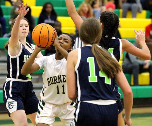 Season tip-off for Lady Hornets